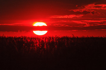 Big sun and Mist in sunset