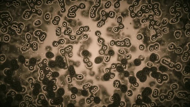 viruses attacking cells or bacterias under microscope 3d rendering