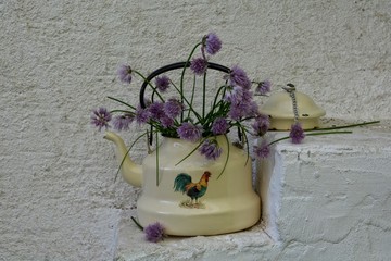 Alter Wasserkocher mit Schnittlauch - Blüten auf weißer Mauer 
