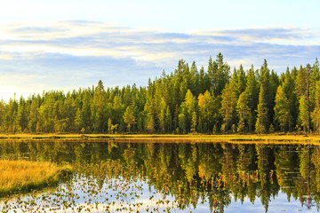 clear lake and virgin forest at sunset