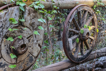 Decorative cartwheel in Olympos