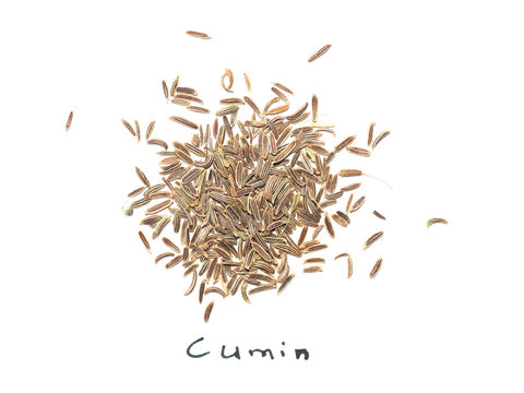 Black Cumin (Bunium bulbocastanum) seeds over white