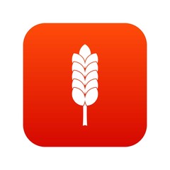 Big spica icon digital red