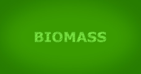 BIOMASS - Scribble text on green background
