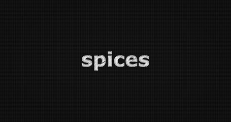 Spices word on grey background.