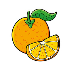 Orange fruit with slice isolated.