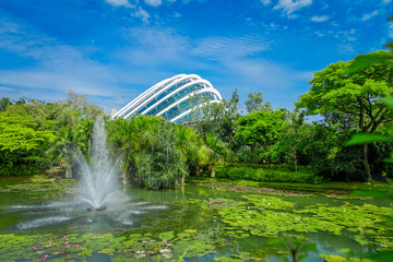 Outdoor view of a beautiful garden with an artificial lake with many Lily pads in the water and a fountain in the middle of the lake, located at Marina Bay Sands