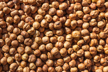 Harvest of hazelnuts.