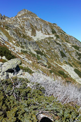 The valley of Malyovishka river, Rila Mountain, Bulgaria