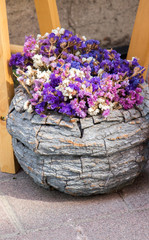 Amazing colorful Spring flowers in flower pot