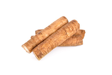 fresh burdock root or Gobo on white background