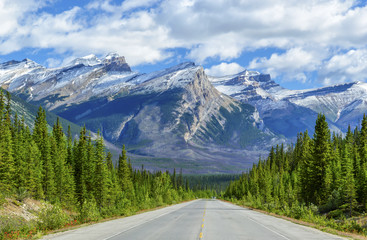 Scene along Icefields Parkway in Banff National Park, Alberta, Canada