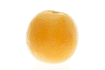 ネーブルオレンジ　オーストラリア産　白抜き