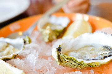 Oysters with ice and lemon on platter wooden table background. Closeup healthy freshness dieting food