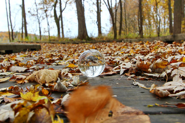 A glass ball with the reflection of the woods