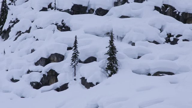 Tilt down, skier on bumpy slope in British Columbia