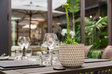 cutlery of a gourmet restaurant table with greenery in the background