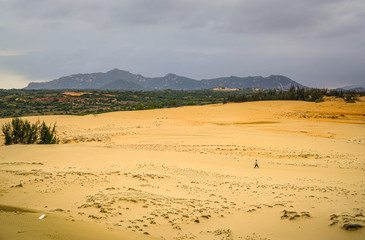 Sand dunes in Vietnam