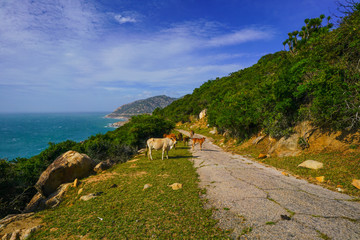 Narrow road on the hillside