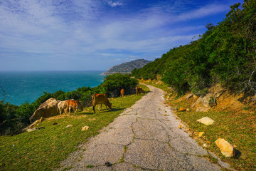 Narrow road on the hillside