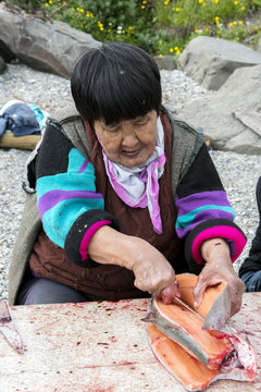 Senior Chukchi woman cuts  just catched sallmon on the sea shore and prepared it for drying