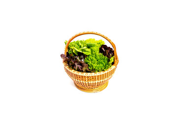 lettuce leaves in Wooden basket on white background