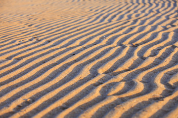 The texture of beach sand