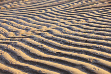 The texture of beach sand