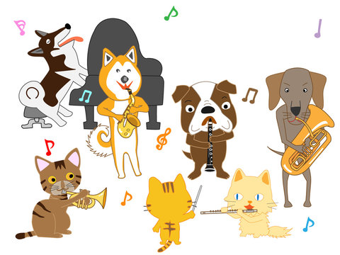 猫と犬のコンサート