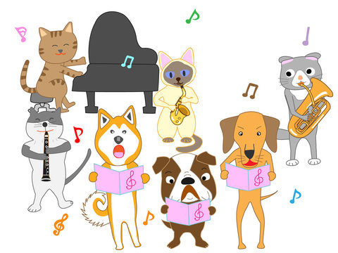 猫と犬のコンサート