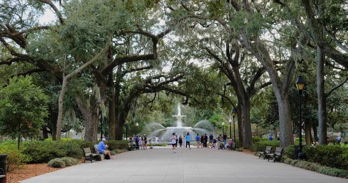 SAVANNAH, GA - Circa February, 2018 - A daytime exterior (DX) establishing shot of tree-lined Forsyth Park in downtown Savannah, Georgia.  	