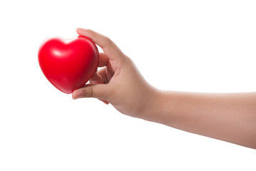 Red heart in hand on white background,Clipping path