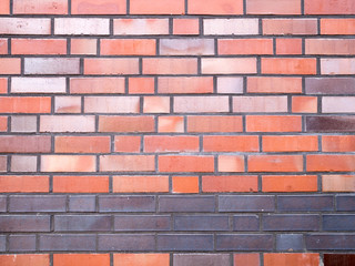 Fototapeta premium OLYMPUS DIGITAL CAMERA