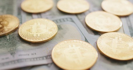 US dollar and bitcoin