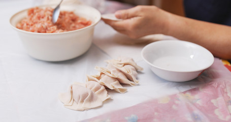 Homemade meat dumpling