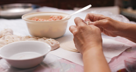 Obraz na płótnie Canvas Making of meat dumpling at home