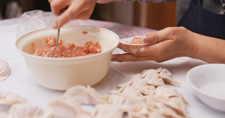 Obraz na płótnie Canvas Making meat dumpling at home