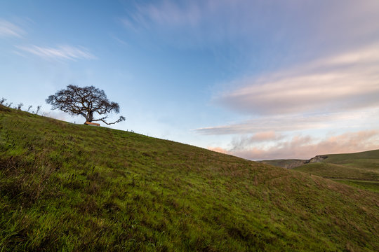 Del Valle Regional Park At Sunrise