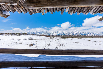 Fototapety na wymiar - Fototapeta24.pl