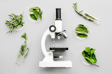 Safety food. Laboratory for food analysis. Greens near microscope on grey background top view