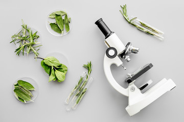 Safety food. Laboratory for food analysis. Greens near microscope on grey background top view