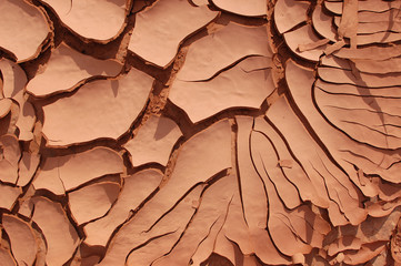 Dry cracked mud in dry wash in Grand Gulch canyon country Southern Utah.