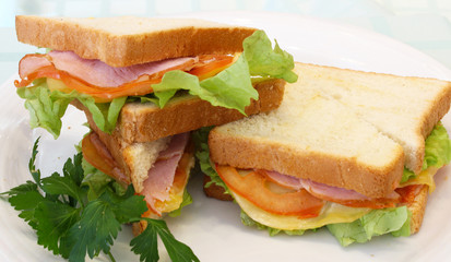 sandwiches with meat and greens with tomatoes