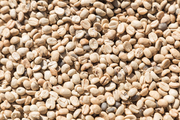 Coffee beans closeup background. green unroasted coffee beans.