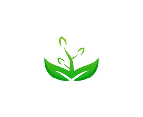 Leaf  logo