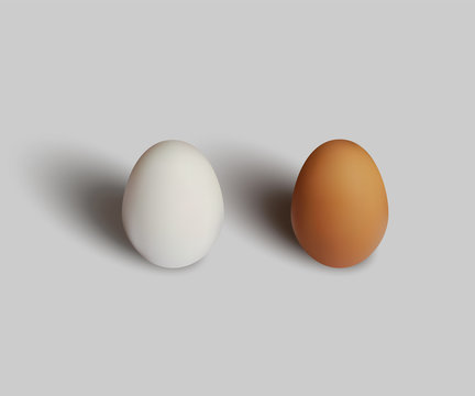 White and brown eggs isolated on gray background. Vector realistic design element.