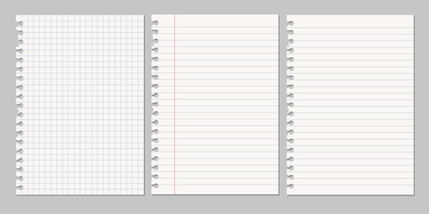 Set of vector realistic illustrations of a torn sheet of paper from a workbook with shadow, isolated