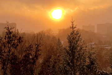A snowy minus 5 degree world, the sunset sun