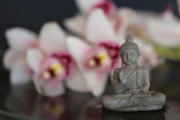 Buddha figure in the water and orchid flowers . Buddhism and philosophy concept. Spa concept