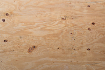 pine wood background texture